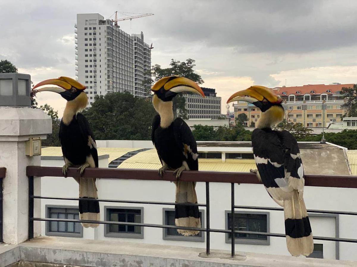 Pooltop Phnom Penh Luaran gambar